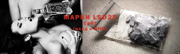 PSILOCYBIN Армянск