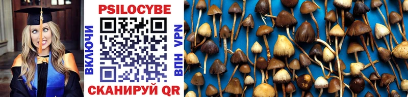 Псилоцибиновые грибы Psilocybe  Перевоз 
